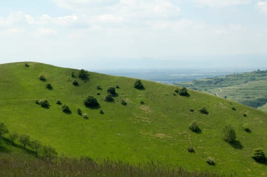 Haselschacher, Buck, kaiserstuhl