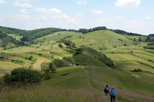 Haselschacher, Buck, kaiserstuhl