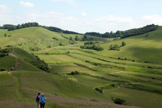 Haselschacher, Buck, kaiserstuhl