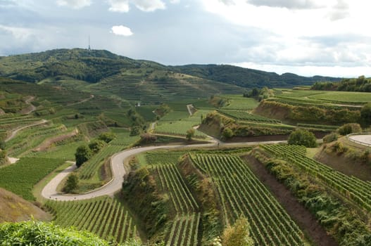 Weinterrassen, Kaiserstuhl