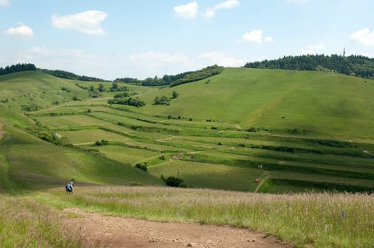 Badberg  Alt-Vogtsburg,kaiserstuhl