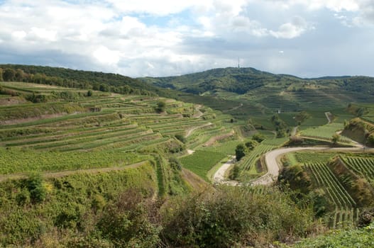 Weinterrassen, Kaiserstuhl