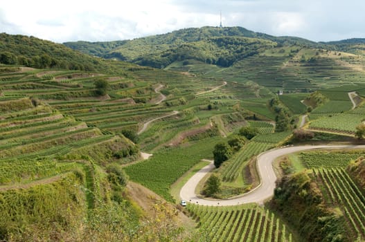 Weinterrassen, Kaiserstuhl