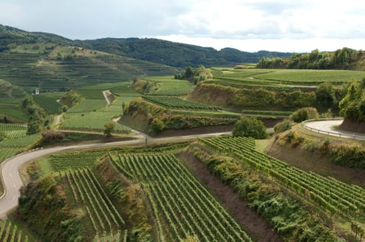 Weinterrassen, Kaiserstuhl