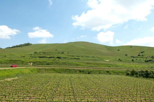 Haselschacher, Buck, kaiserstuhl