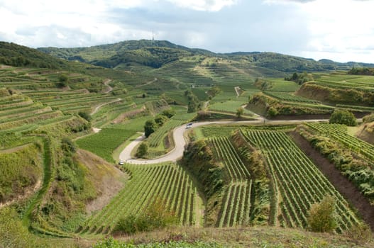 Weinterrassen, Kaiserstuhl