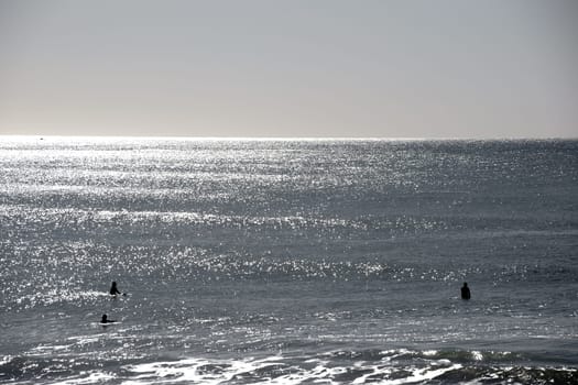 The silhouettes of surfers on the water in the backlight on the beach of Oceanside,waiting for waves.