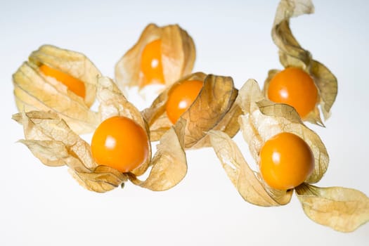 Physalis Fruit with Husk on white background.