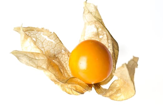 Physalis Fruit with Husk close up on white background.