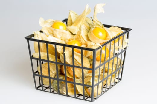 Box of Physalis Fruit close up image.