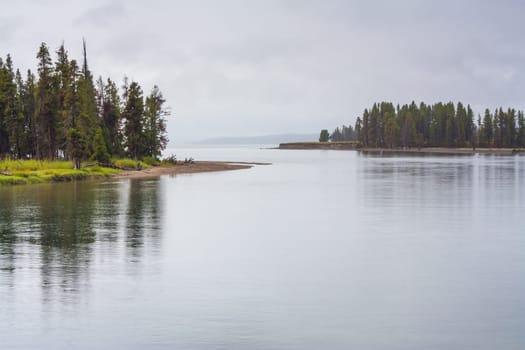 Landscape of tree lined Yellowstone Lake in the rain.