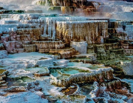 Minerva Terrace in Yellowstone National Park