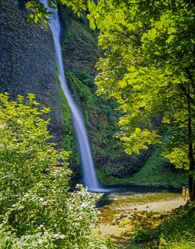View of Latourel Falls in Oregon
