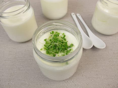 Yoghurt from the yoghurt maker with basil sprouts