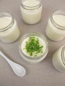 Yoghurt from the yoghurt maker with basil sprouts