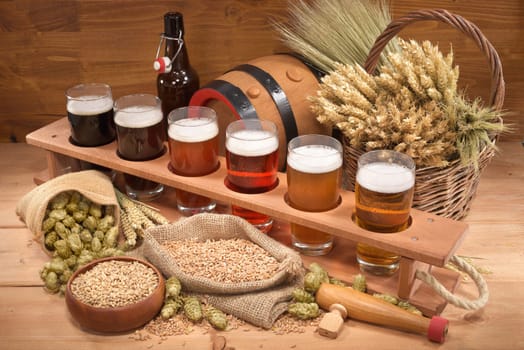 Beer carriers with many different beers,wheat,barley,hops and malt