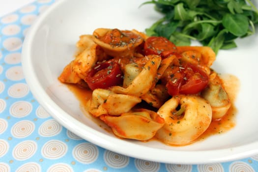 Tortellini with tomatoes in tomato and cream sauce and garnished with salad