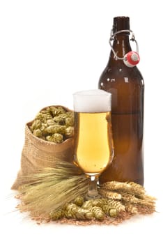 XXL beer bottle,beer glass and beer barrel with wheat,barley,hops and malt