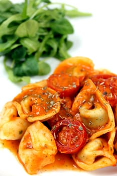 Tortellini garnished with tomatoes and tomato cream sauce with salad