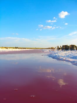 landscape with salty sea where the salt is extracted in Sivash