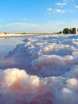 landscape with salty sea where the salt is extracted in Sivash
