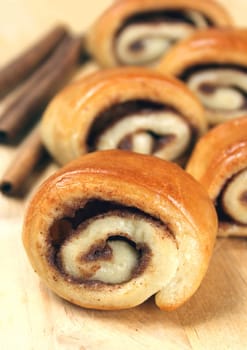 Cinnamon snails