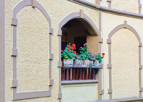 Window and flower pots