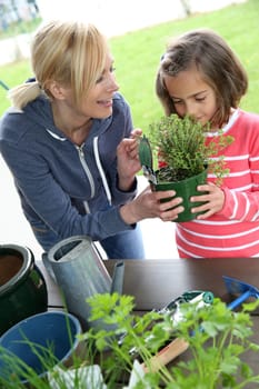 Mother and daughter in garden planting aromatic flowers