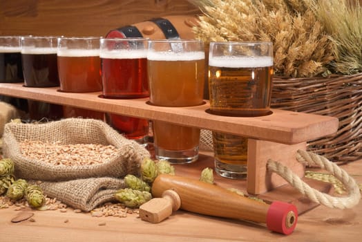 Beer carriers with many different beers,wheat,barley,hops and malt