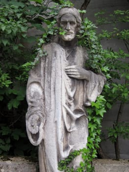 altenpfleger
