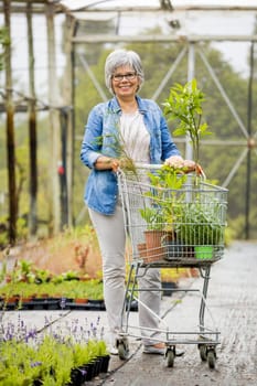 Beautiful mature woman working in a greenhouse holding flowers on her hands