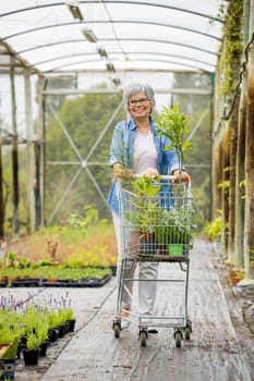 Beautiful mature woman working in a greenhouse holding flowers on her hands