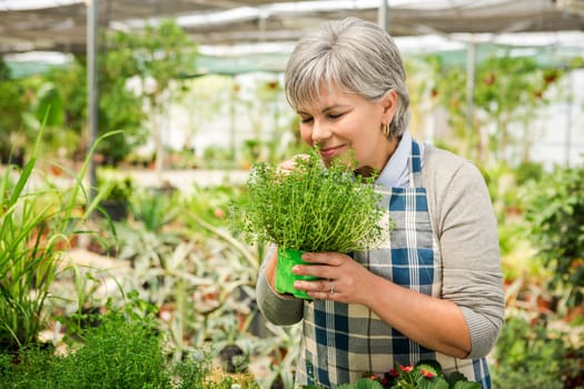 Beautiful mature woman working in a greenhouse holding flowers on her hands