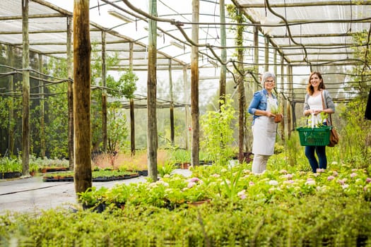 Florist helping a elderly female customer choosing plants