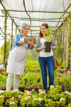 Florist helping a elderly female customer choosing plants