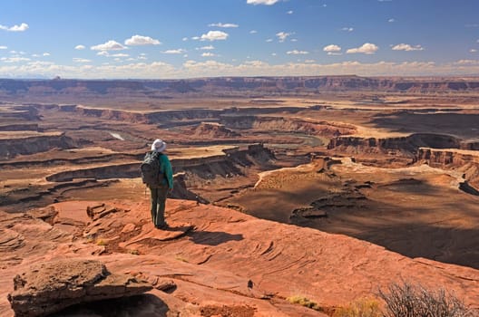 Looking Out Over the Canyonlands in Canyonlands National Park in Utah