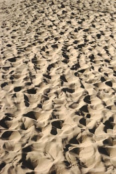 The close-up of sand and footprints of a sandy beach in California.