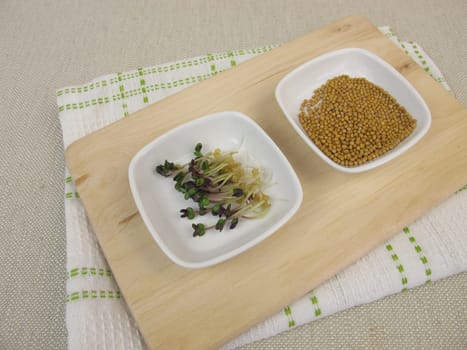 Yellow mustard seed and mustard sprouts