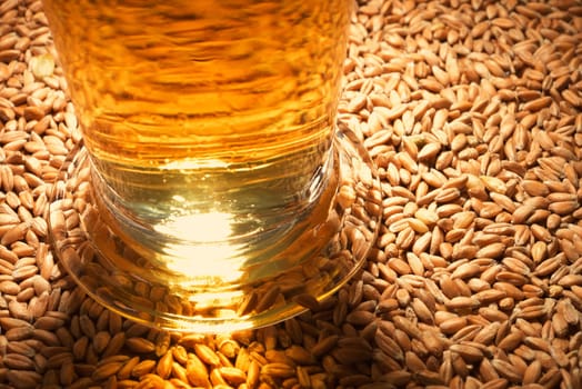 Close-up of a beer glass with wheat,cereals,barley,malt