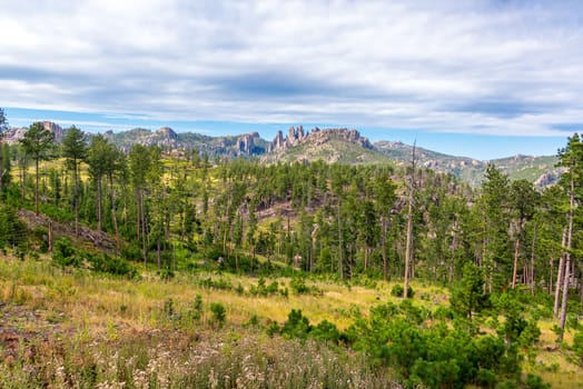 Custer State Park landscape with the Cathedral Spires rock formation rising in the background