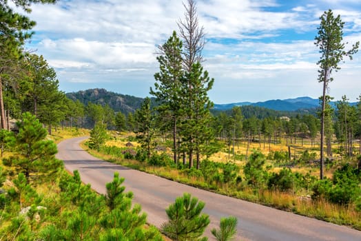 Beautiful scenic road passing through Custer State Park