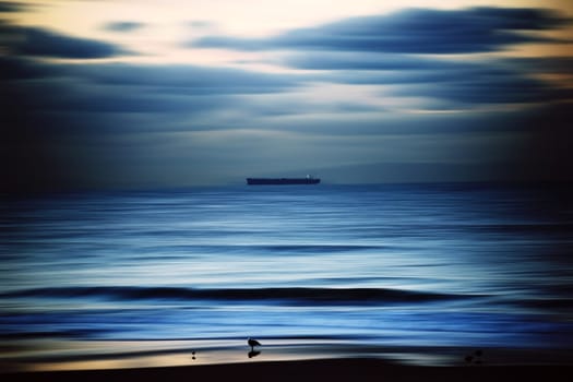 The smooth drawn waters of the Pacific with a ship on the horizon and waterfowl on the beach.