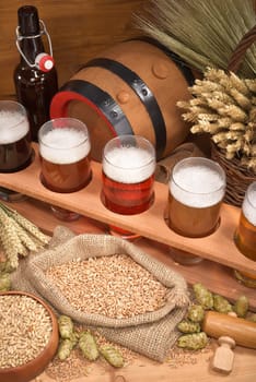 Beer carriers with many different beers,wheat,barley,hops and malt
