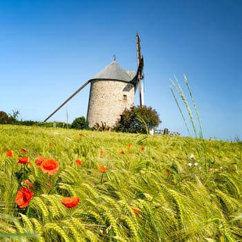 France, the Moidrey windmill in Pontorson in Normandie