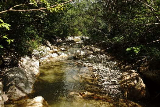 Rivers of the mountains