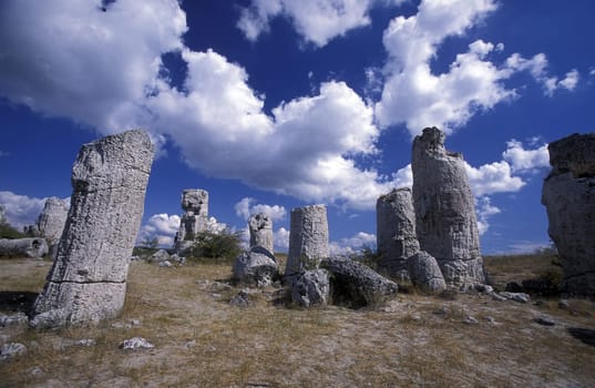 the stone forest near the city of Varna on the Blacksea in Bulgaria in east Europe.