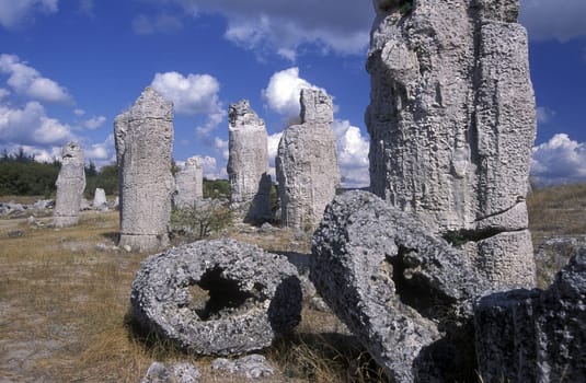 the stone forest near the city of Varna on the Blacksea in Bulgaria in east Europe.
