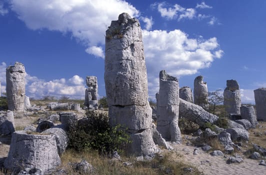 the stone forest near the city of Varna on the Blacksea in Bulgaria in east Europe.