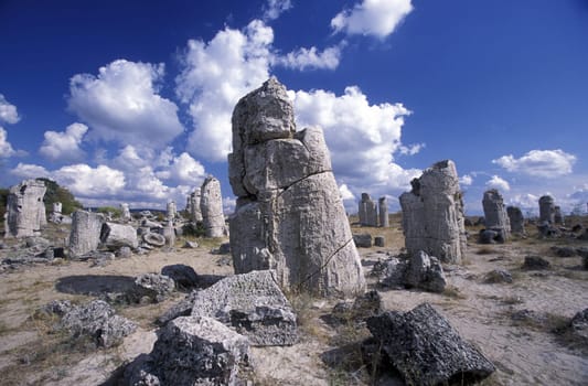 the stone forest near the city of Varna on the Blacksea in Bulgaria in east Europe.