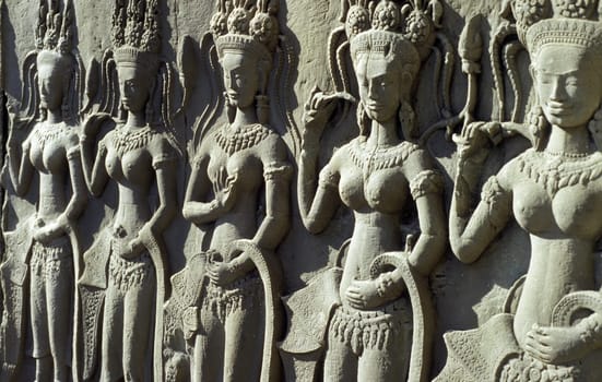 the angkor wat temple in Angkor at the town of siem riep in cambodia in southeastasia.